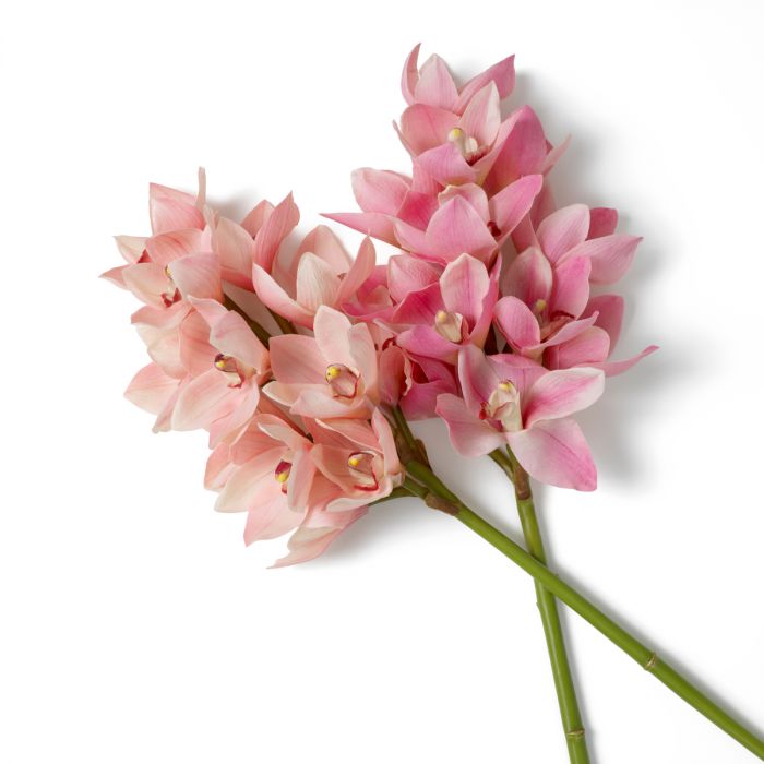 Bouquet of Cymbidium Orchids Real Touch 36 pcs Pink & Peach Tones