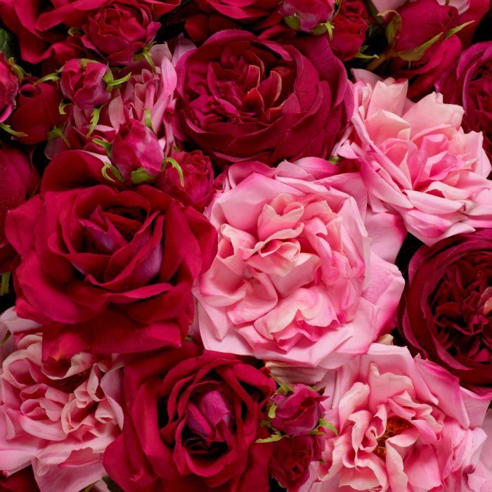 Bouquet of Roses Real Touch 72 pcs/3 Varieties-Red & Pink Tones