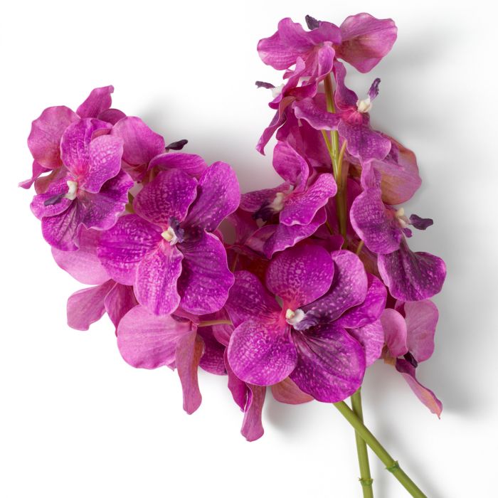 Bouquet of Vanda Orchids Real Touch 24 pcs-Fuschia