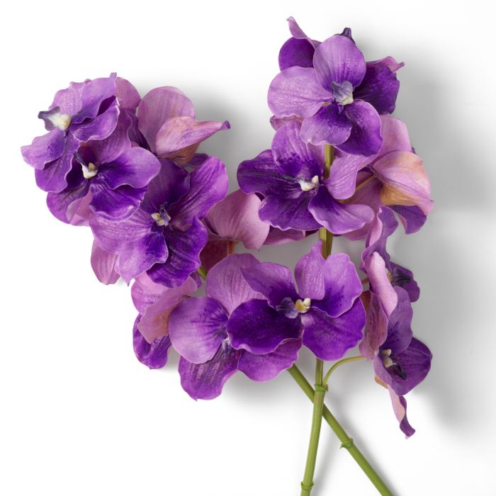 Bouquet of Vanda Orchids Real Touch 24 pcs-Purple