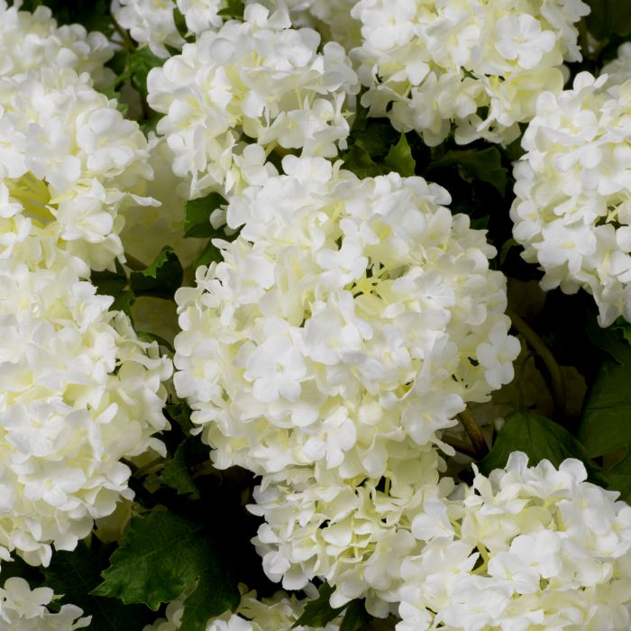 Bouquet of Hydrangeas Snowball Real Touch 36 pcs